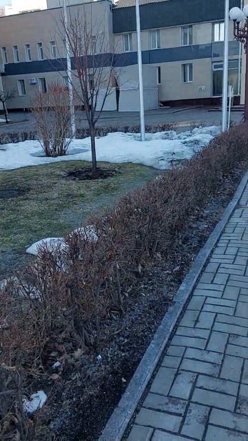 санаторий Белокуриха 13 марта 2023г.