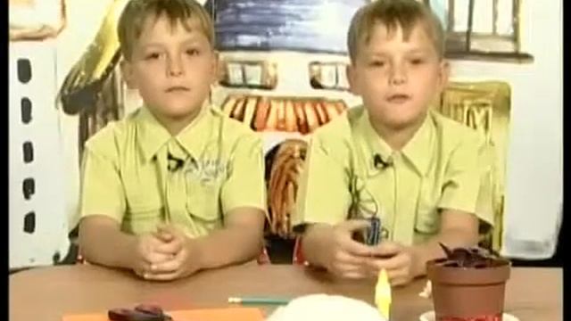 ДВ Растения смотреть онлайн