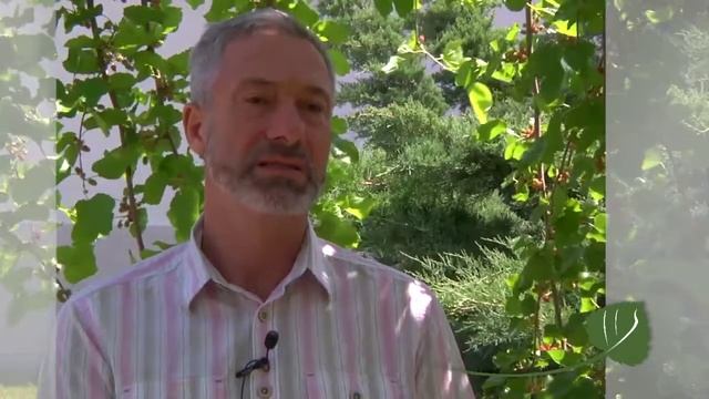 «Мы с женой планируем периодически сюда приезжать…» смотреть онлайн