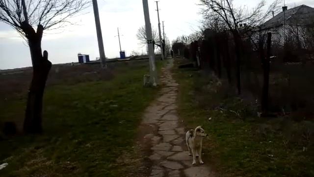 Село Столбовое Евпаторийский район смотреть онлайн