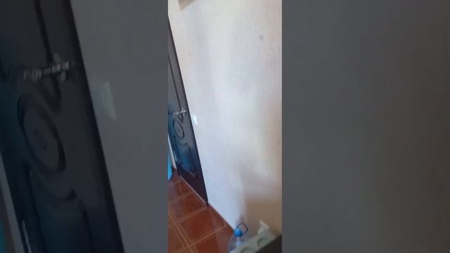 Витязево.Гостевой дом Родос-краткий обзор. смотреть онлайн