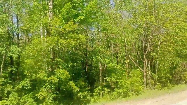 Хабаровск. Поездка на автобусе DAEWOO BC211M.Дачный маршрут 128. смотреть онлайн