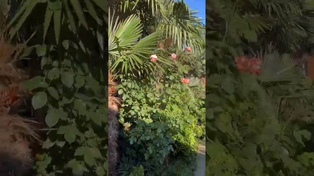 27 июня 2024 г. смотреть онлайн