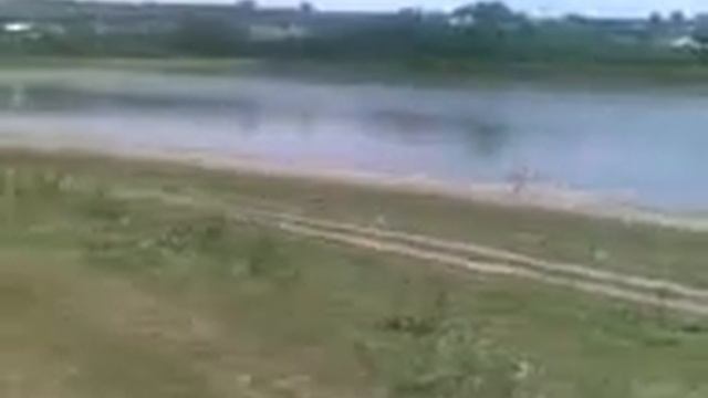 Ревизор на Днестре смотреть онлайн