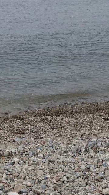 море. август смотреть онлайн