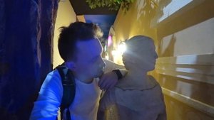Когда НОВОЕ ВИДЕО на канале КАРТОНКА? Наш ПРЕДПРАЗДНИЧНЫЙ день | C Новым 2018 годом | Изнанка ВЛОГ