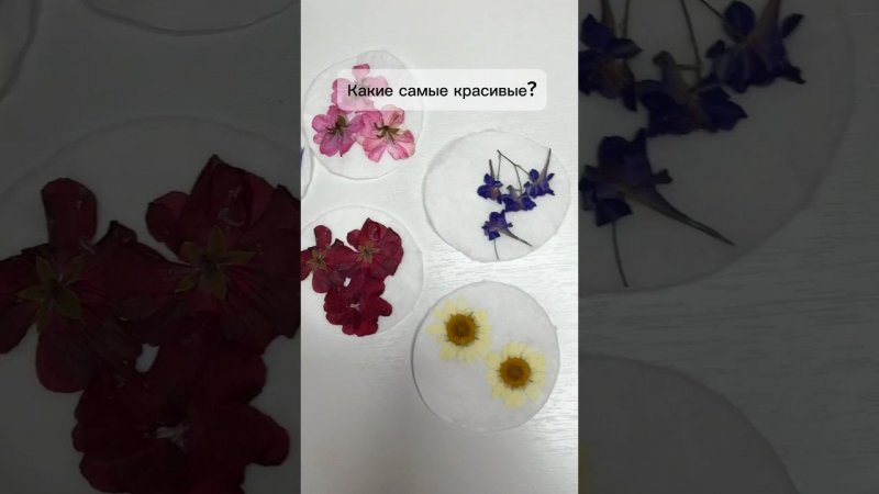 Обожаю смотреть результат #сухоцветы  #shots #эпоксиднаясмола