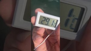 Кабардинка гостевой дом Диана-Бутик