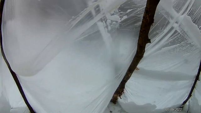 В лесном шалаше кто -то живет смотреть онлайн