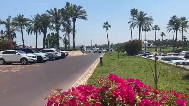 Приглашаю сравнить два пляжа Дубая - один муниципальный бесплатный и пляж/бассейн при гостинице.