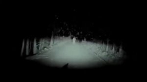 Призрак на дороге(ЖУТЬ!)