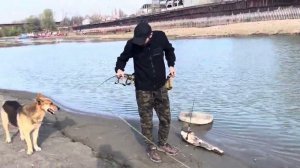 Река Кубань Краснодар  Россия  сегодня 29.03.2025