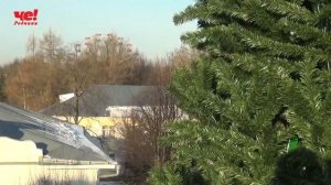 установка ёлки