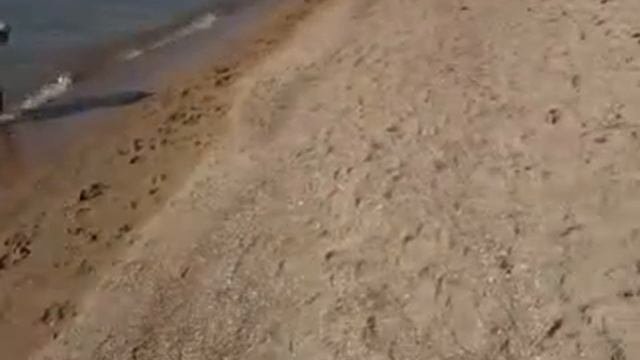 Видео0027.mp4