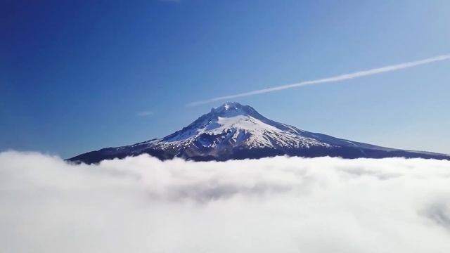 МОТИВАЦИЯ. УСПЕХ. КАК ДОСТИЧЬ ЦЕЛИ? №2 #shorts смотреть онлайн