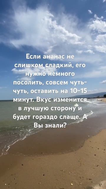 Море #моренебо#песок#каспий#полезныйлайфхак#махачкала#дельфин#базаотдыха#дагестан смотреть онлайн