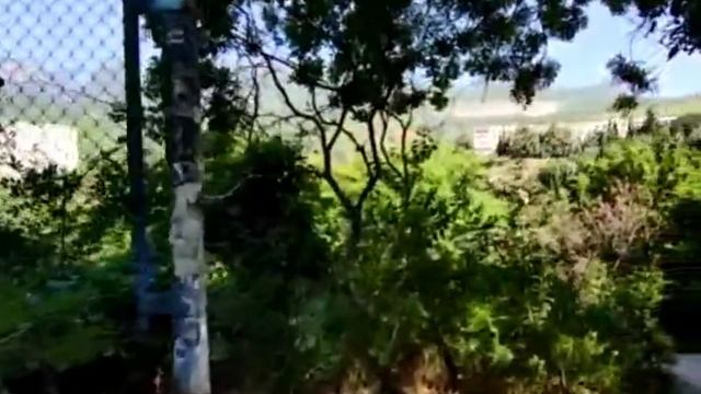 партенит смотреть онлайн