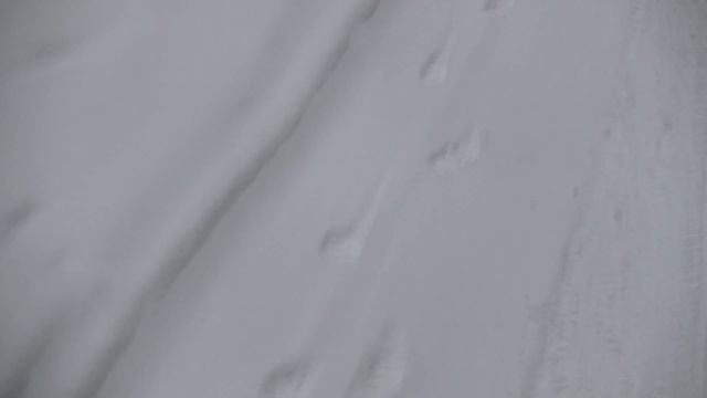 5. 12. 13 Гуляем смотреть онлайн