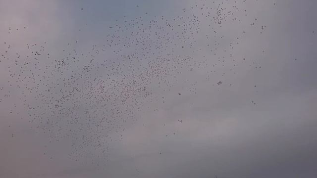 Дань памяти погибшим 25.03.18 в станице Кущевской смотреть онлайн