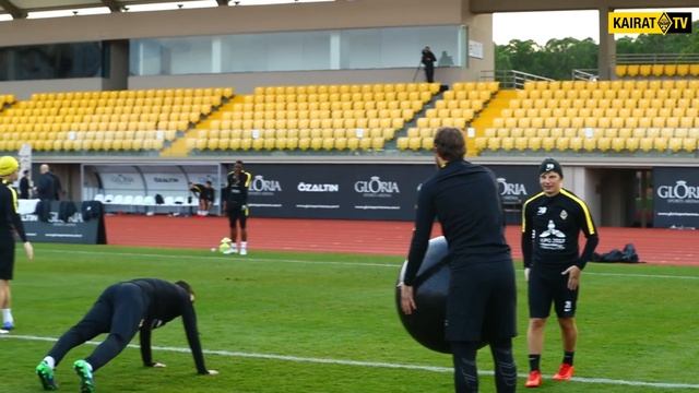 Кадр дня: «желто-черные» в отличном расположении духа смотреть онлайн