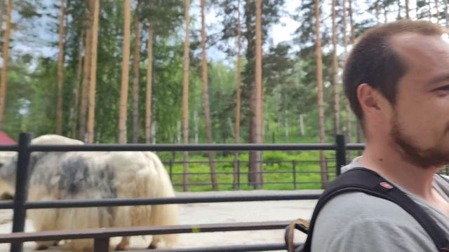 Отдых в Абзаково 2024🌿 Летний обзор. Природа Башкортостана смотреть онлайн