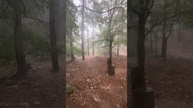 Кореизская тропа-подъём на Ай-Петри 20.07.2024 смотреть онлайн