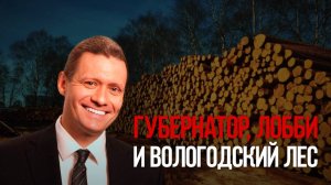 Губернатор, лобби и Вологодский лес