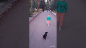 ТУРГОЯК, ОТДЫХ В ПАЛАТКЕ,"КЕМПИНГ АТМОСФЕРА#тургояк2024