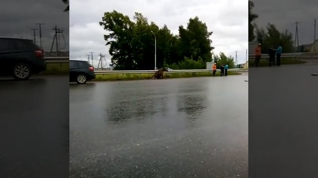 В Уфе в районе ост. Кафе отдых на старой Чишми... смотреть онлайн