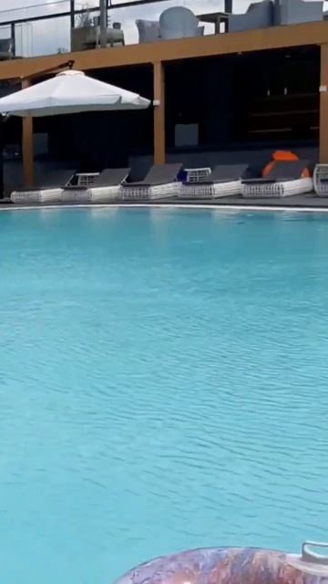 Виноград на Мандарине в Адлере смотреть онлайн