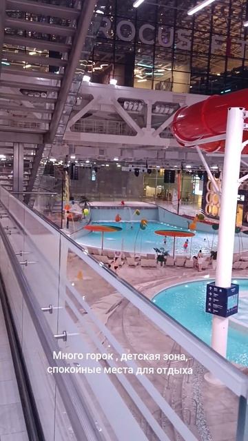 Дворец водных видов спорта в Лужниках смотреть онлайн