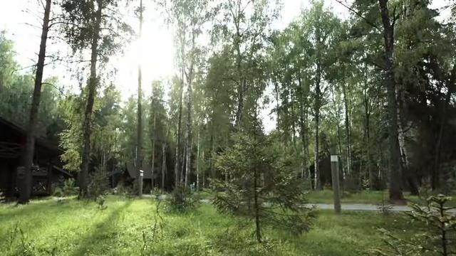 Экоотель Романов лес Лучший загородный отель 2014 смотреть онлайн