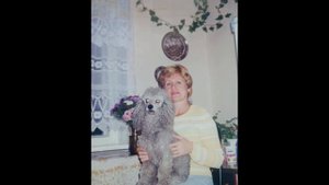 Западная Двина - Полоцк