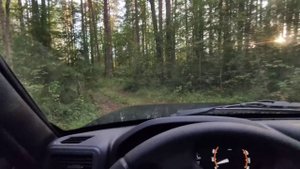 Нива БРОНТО 2024 в деле! За грибами и ягодами по русскому бездорожью. Сосновый бор.