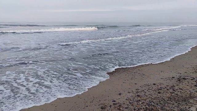 Утро на Куршской косе смотреть онлайн