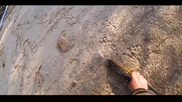 Все из-за металлокопа - ПУРГА