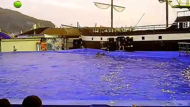 Поход в дельфинарий Архипо-осиповка 2014 7ч смотреть онлайн