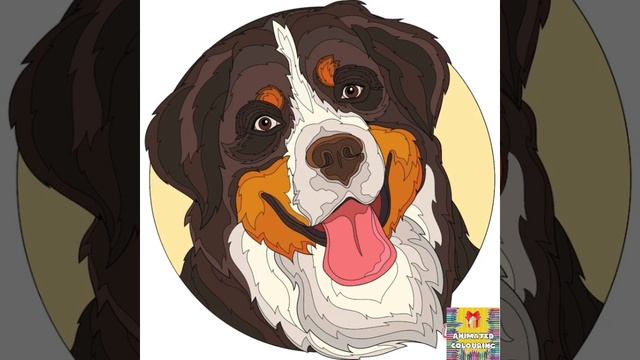 DOG COLOURING VIDEO ||| Animated Colouring смотреть онлайн