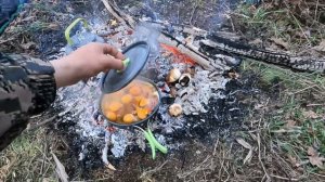 Ночевка в лесу и завтрак на костре