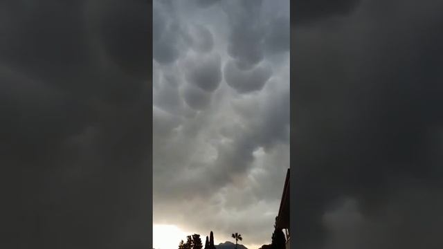 Аланья 5 мая 2023 года. Ramira city otel, утро смотреть онлайн