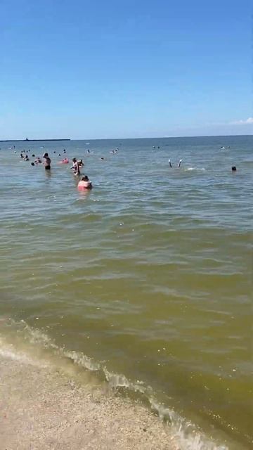 ЕЙСК. 24 ИЮЛЯ. ЦЕНТРАЛЬНЫЙ ПЛЯЖ #2024 #ейск #азовскоеморе #море #отпуск2024 #лето #пляжиейска #пляж смотреть онлайн