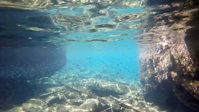 родос яхата и черепашки смотреть онлайн