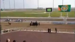 Падение президента Туркменистана с лошади