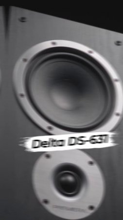Premiera Delta DS-631 - совершенно нетипичные бюджетные напольники