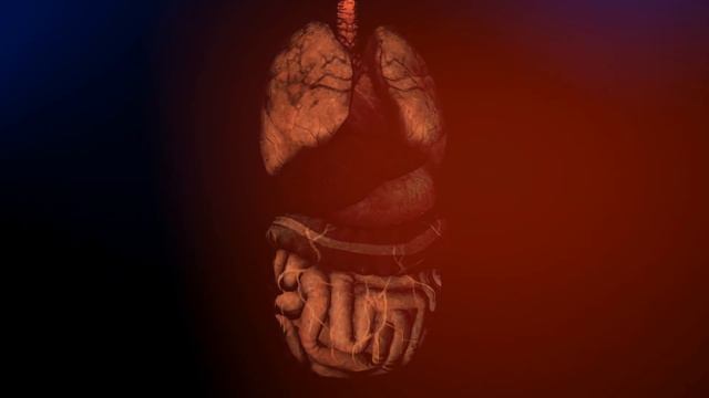 Most Wanted Serial Killer Jack The Ripper 🕵 Facts in Hindi About Serial Killer | Live Hindi Facts смотреть онлайн