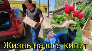 Жизнь на ЮГЕ кипит 🌞💪🏼 Плитка для мангала 👌🏼 Потеря потерь 🫣