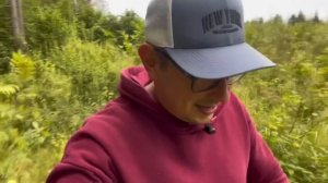 Грибы в ПОДМОСКОВЬЕ. Ведро пока гуляли: белые грибы и другие 🍄🟫 Одинцовский район, август 2024