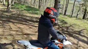 покатушки по лесу