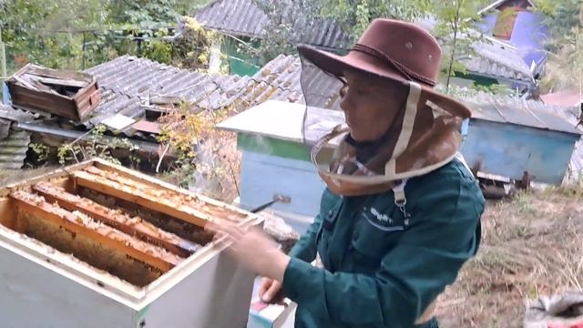 В якому вулику більше меду ППУ, ППС чи в Дереві , рекорд не получився. смотреть онлайн