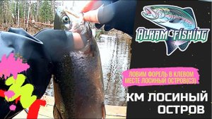 Клёвое Место Лосиный остров. 16.04.22 Спорт Зона. Ловим Форель